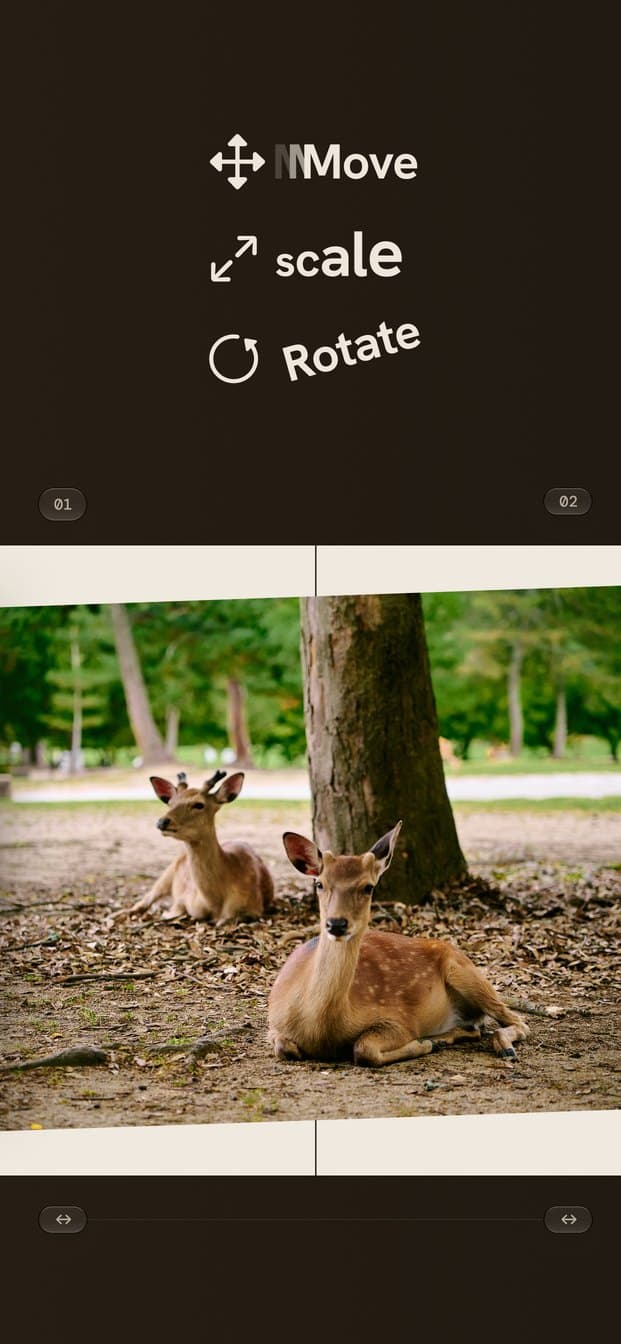 Move, scale, rotate: a photo of Nara deer sits across the seam between frames 01 and 02 on the FrameRoll canvas.